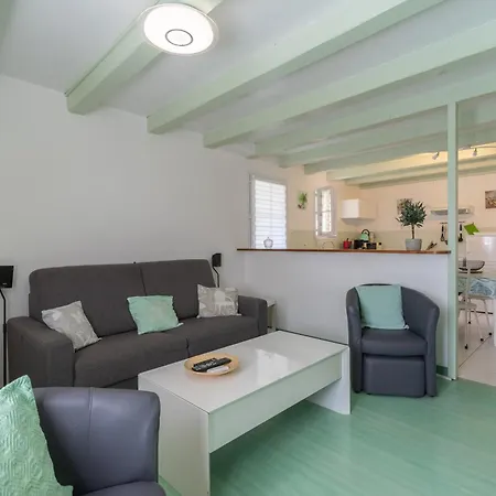 L'olivier * Saint-Just-Luzac