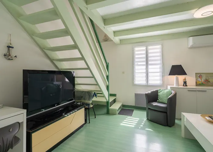 L'olivier Saint-Just-Luzac